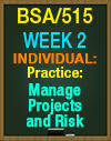 BSA/515 Week 2 Practice: Manage Projects and Risk